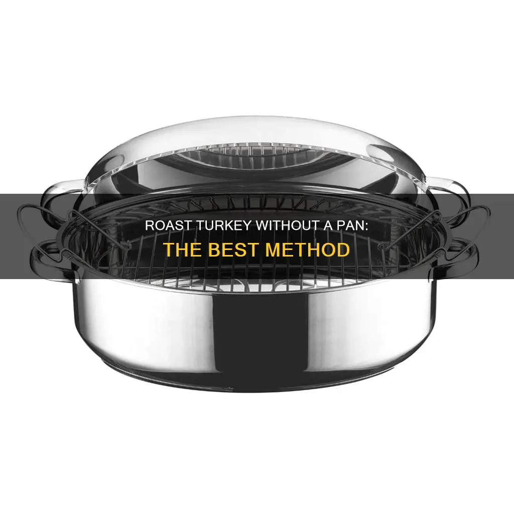 can you cook a turkey without pan in roaster