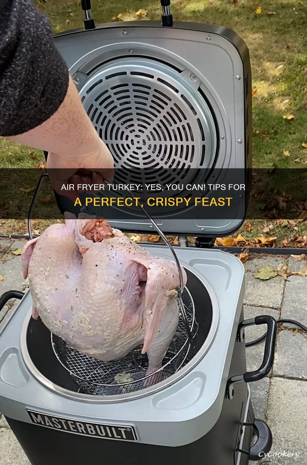 can you cook a whole turkey in an air fryer