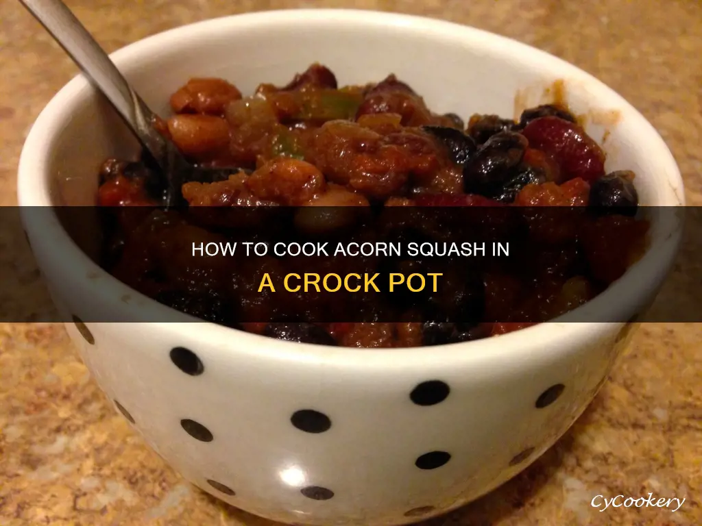 can you cook acorn squash in a crock pot