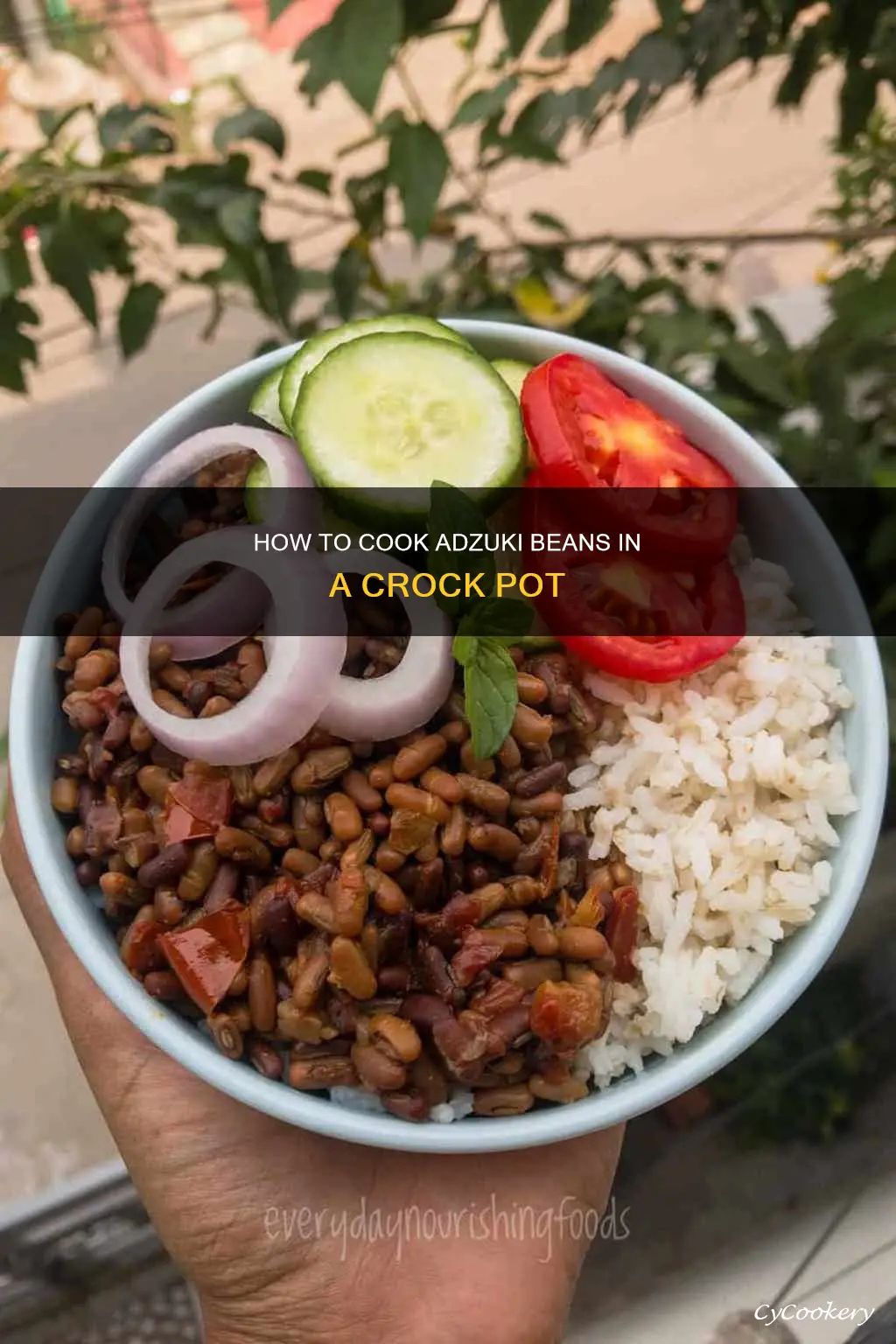 can you cook adzuki beans in a crock pot