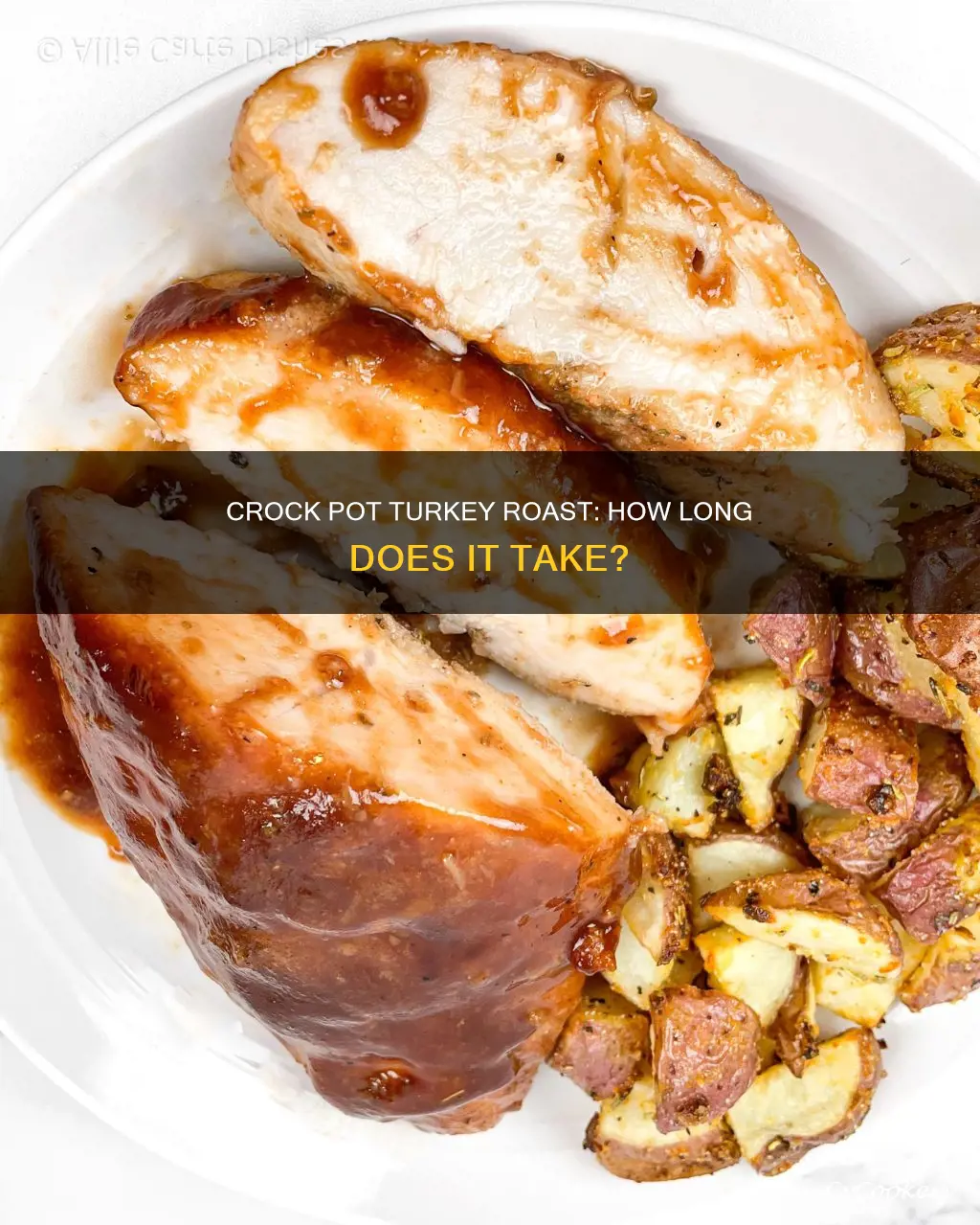 can you cook an 8lb turkey roast in crock pot