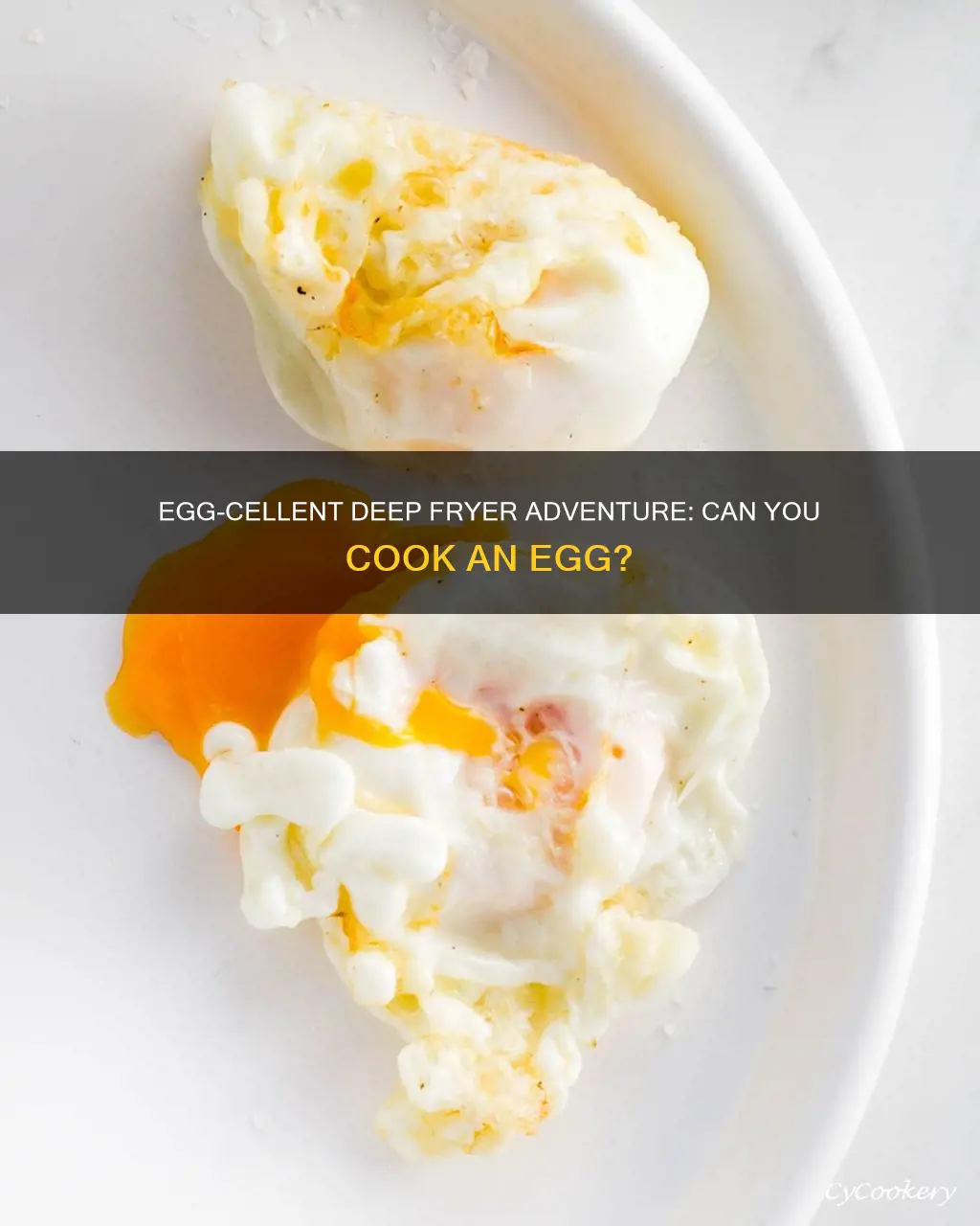 can you cook an egg in a deep fat fryer