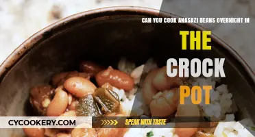 Crock Pot Anasazi Beans: An Overnight Sensation