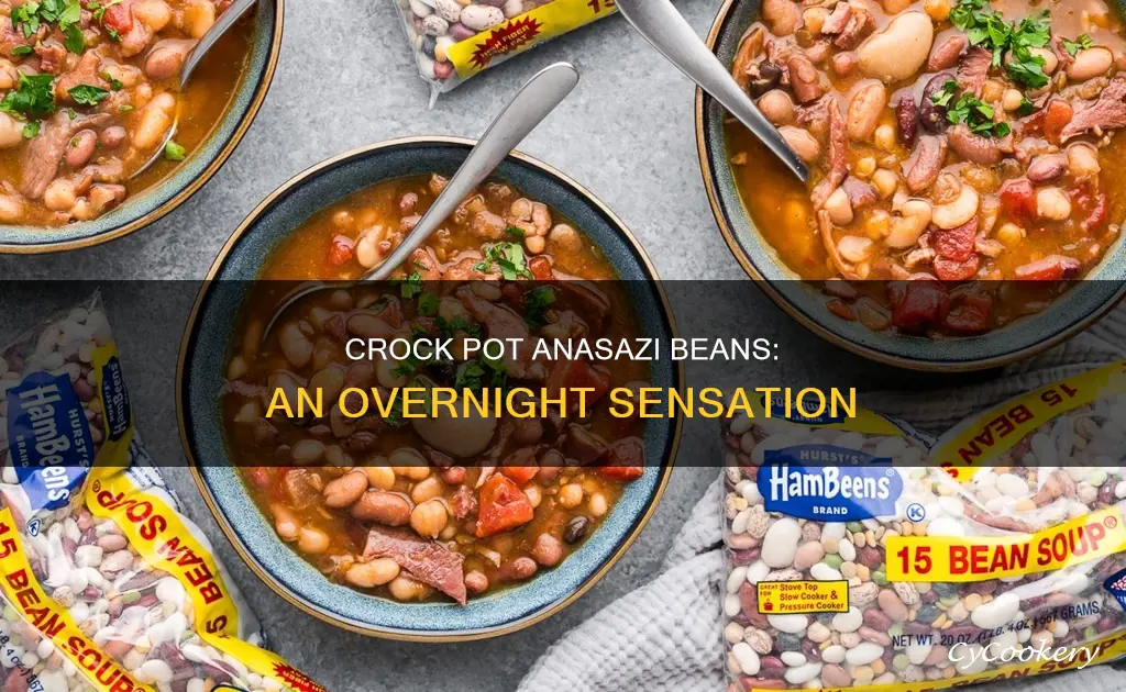 can you cook anasazi beans overnight in the crock pot