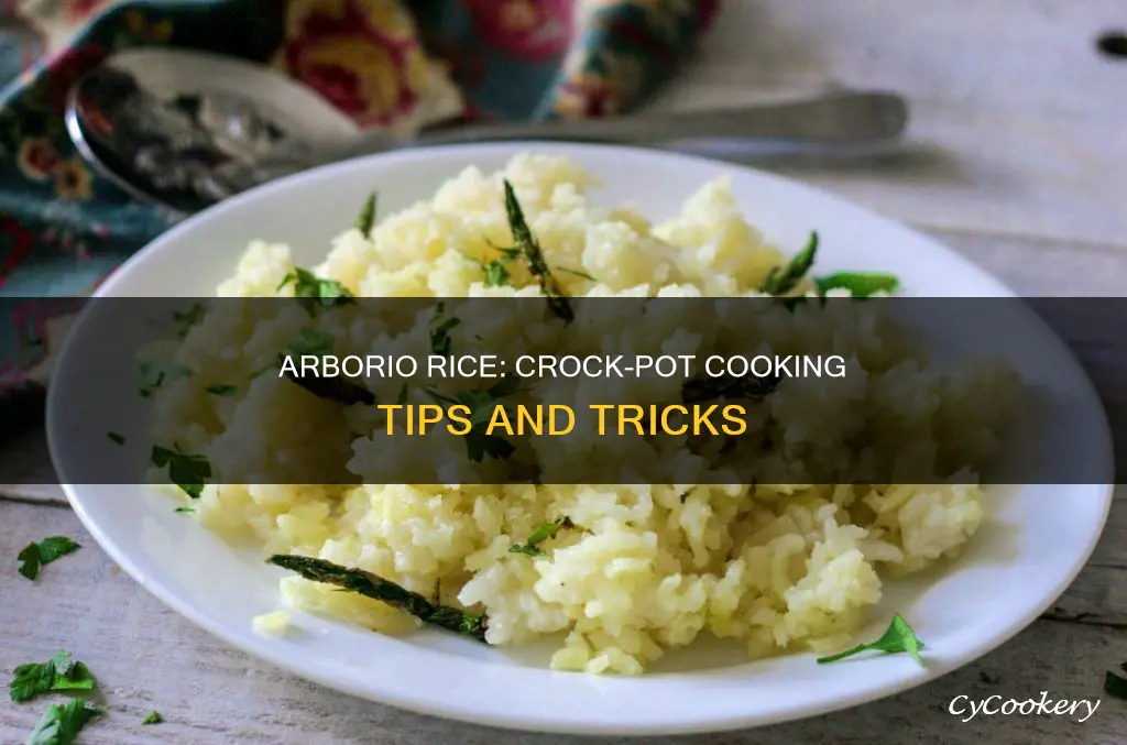 can you cook arborio rice in a crock pot