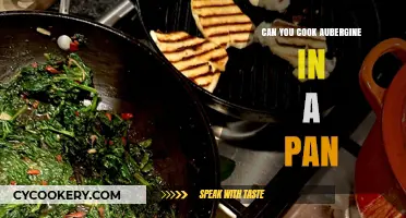 Aubergine Pan-Cooking: Is It Possible?