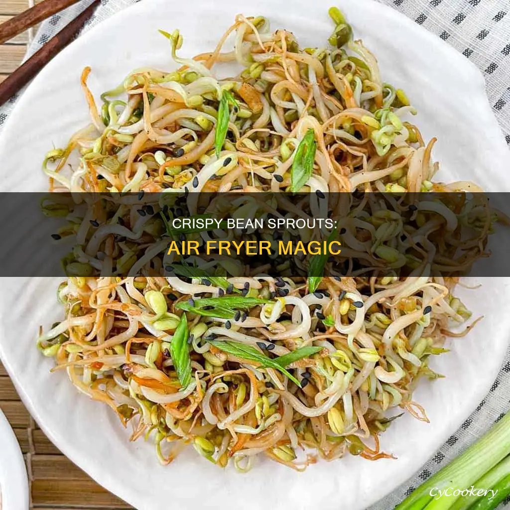 can you cook bean sprouts in air fryer