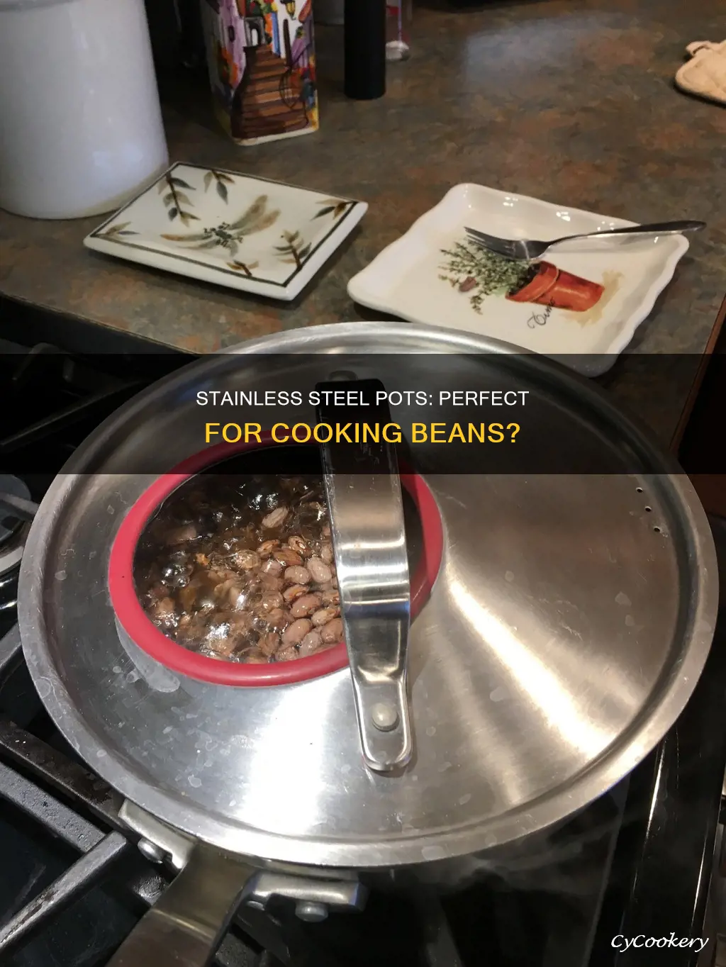 can you cook beans in stainless steele pot