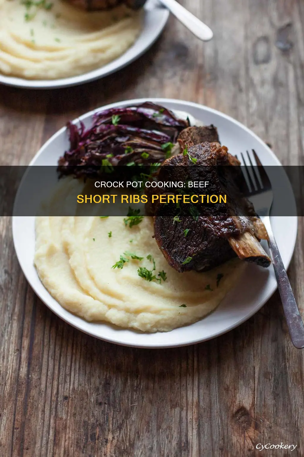 can you cook beef short ribs in a crock pot