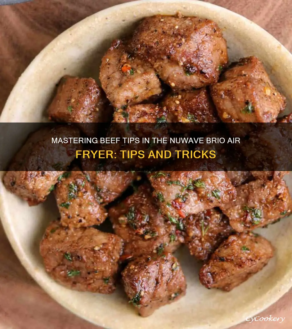 can you cook beef tips in nuwave brio air fryer