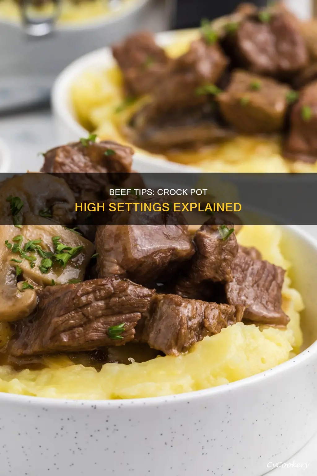 can you cook beef tips on high in crock pot