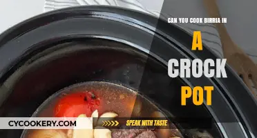 Cooking Birria: Crock-Pot Magic
