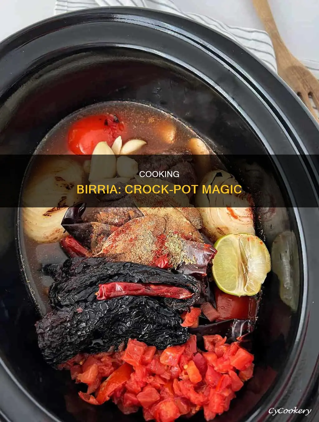 can you cook birria in a crock pot