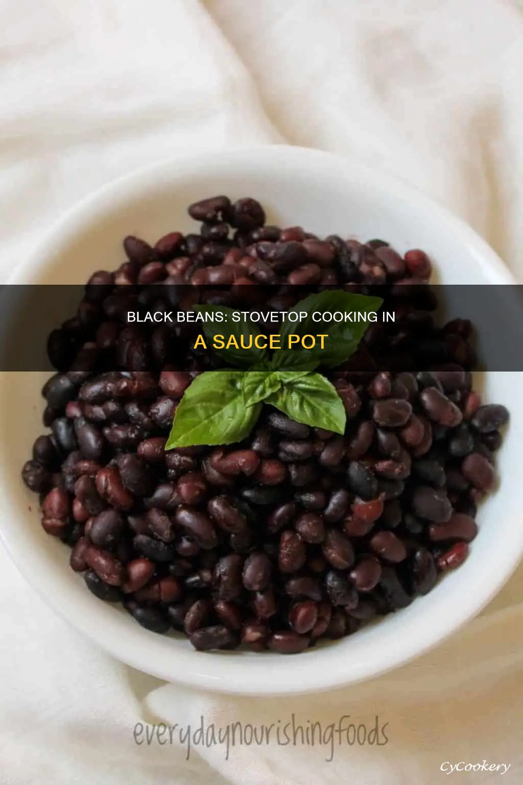 can you cook black beans in a sauce pot