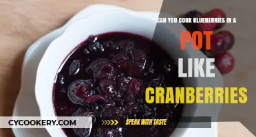 Blueberries: Simmer Like Cranberries for a Delicious Treat
