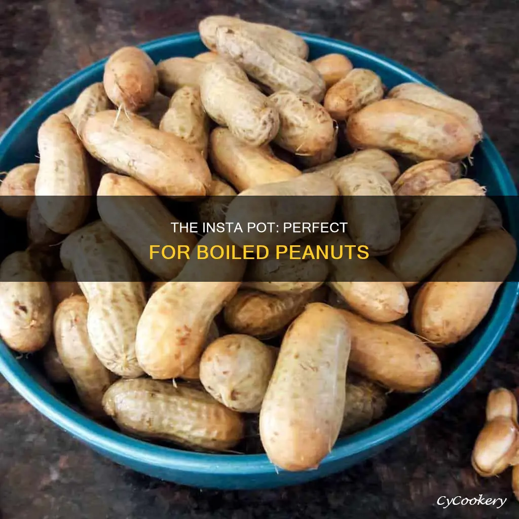 can you cook boiled peanuts in the insta pot