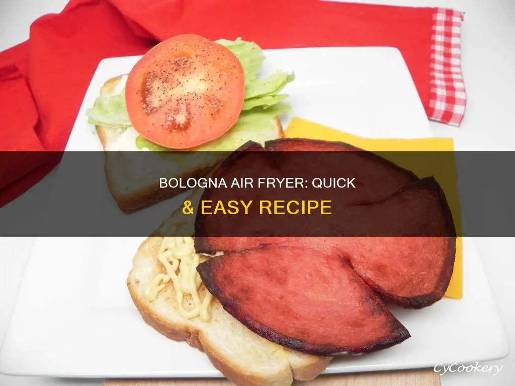 can you cook bologna in a air fryer