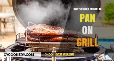 Grilling Brisket: Pan or No Pan?