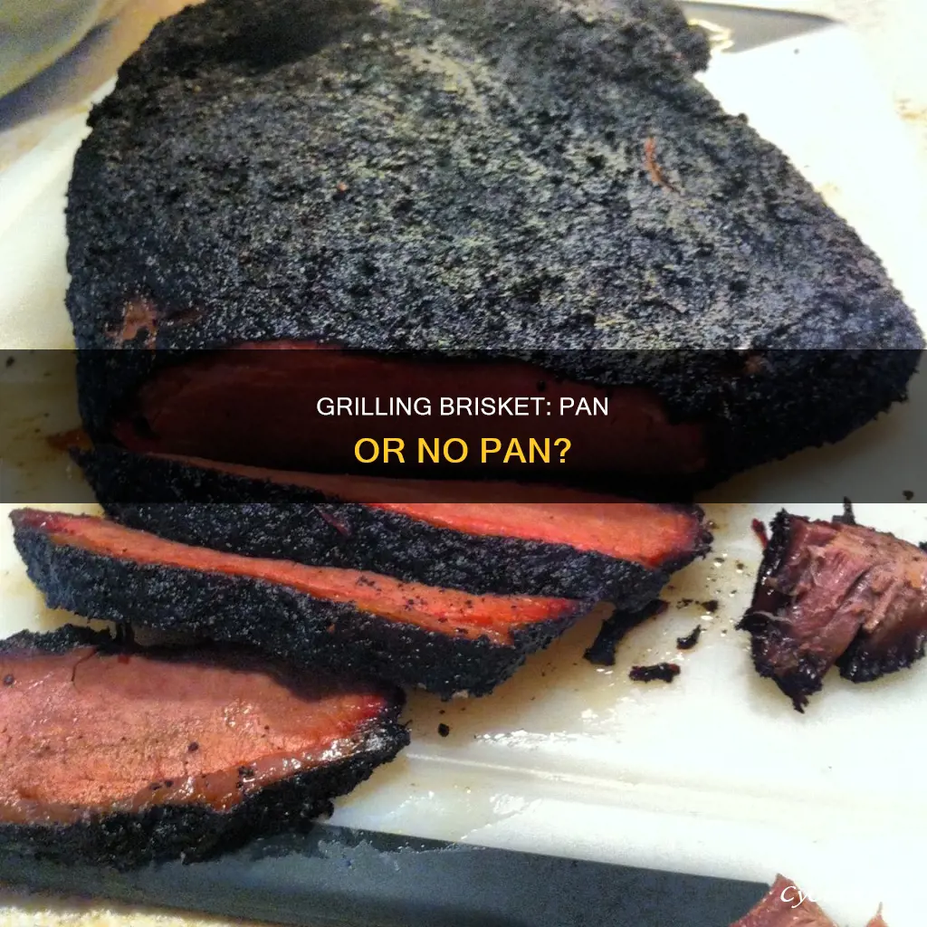 can you cook brisket in pan on grill