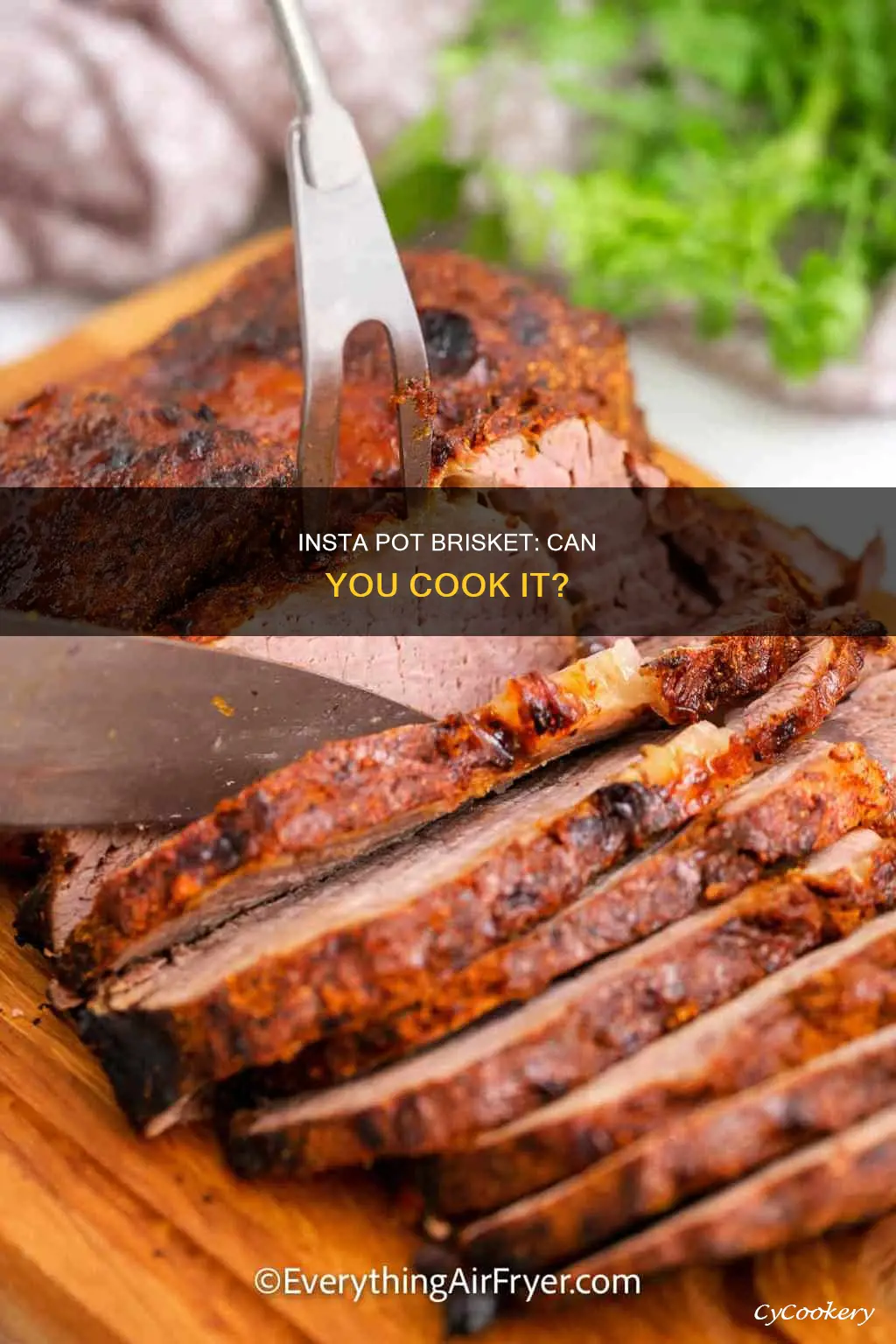 can you cook brisket in the insta pot