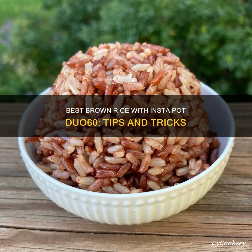can you cook brown rice on insta pot duo60