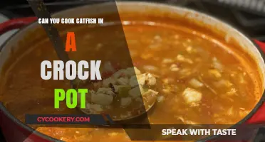How to Cook Catfish in a Crock Pot