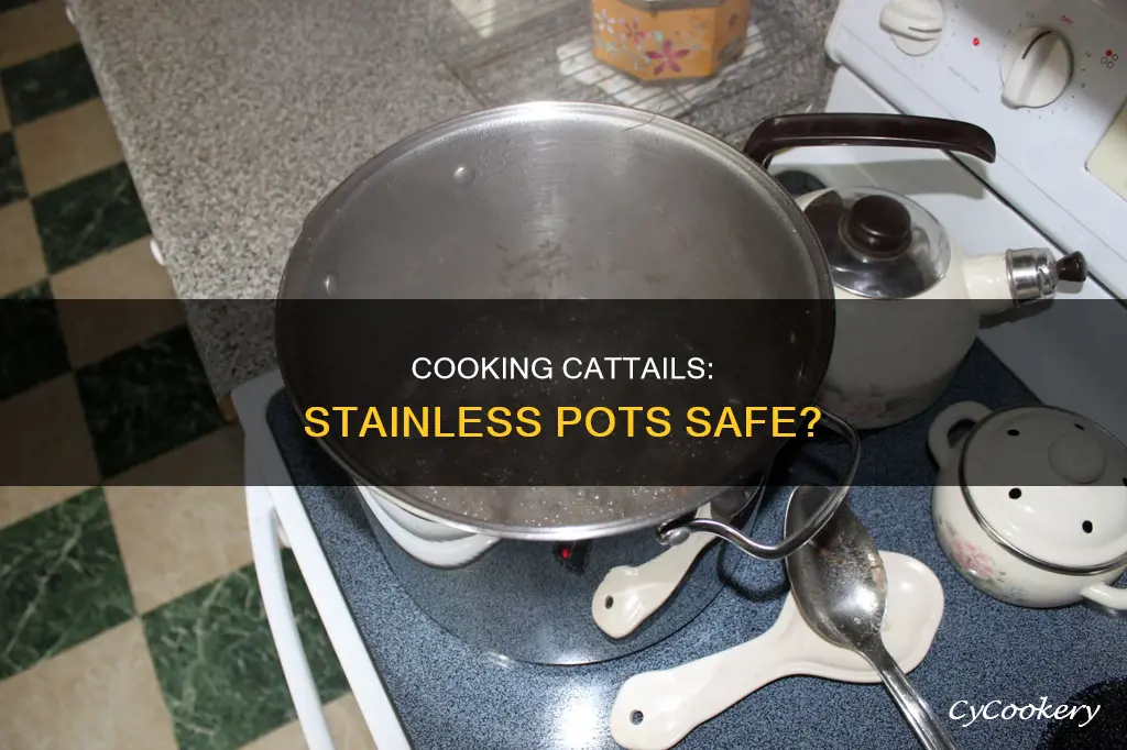 can you cook cattails in stainless pots