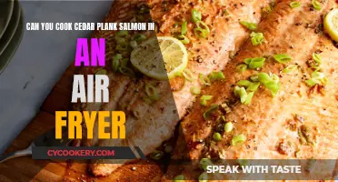 Air Fryer Cedar Plank Salmon: A Quick and Healthy Cooking Method