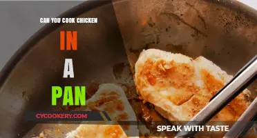 Cooking Chicken in a Pan: Is It Possible?
