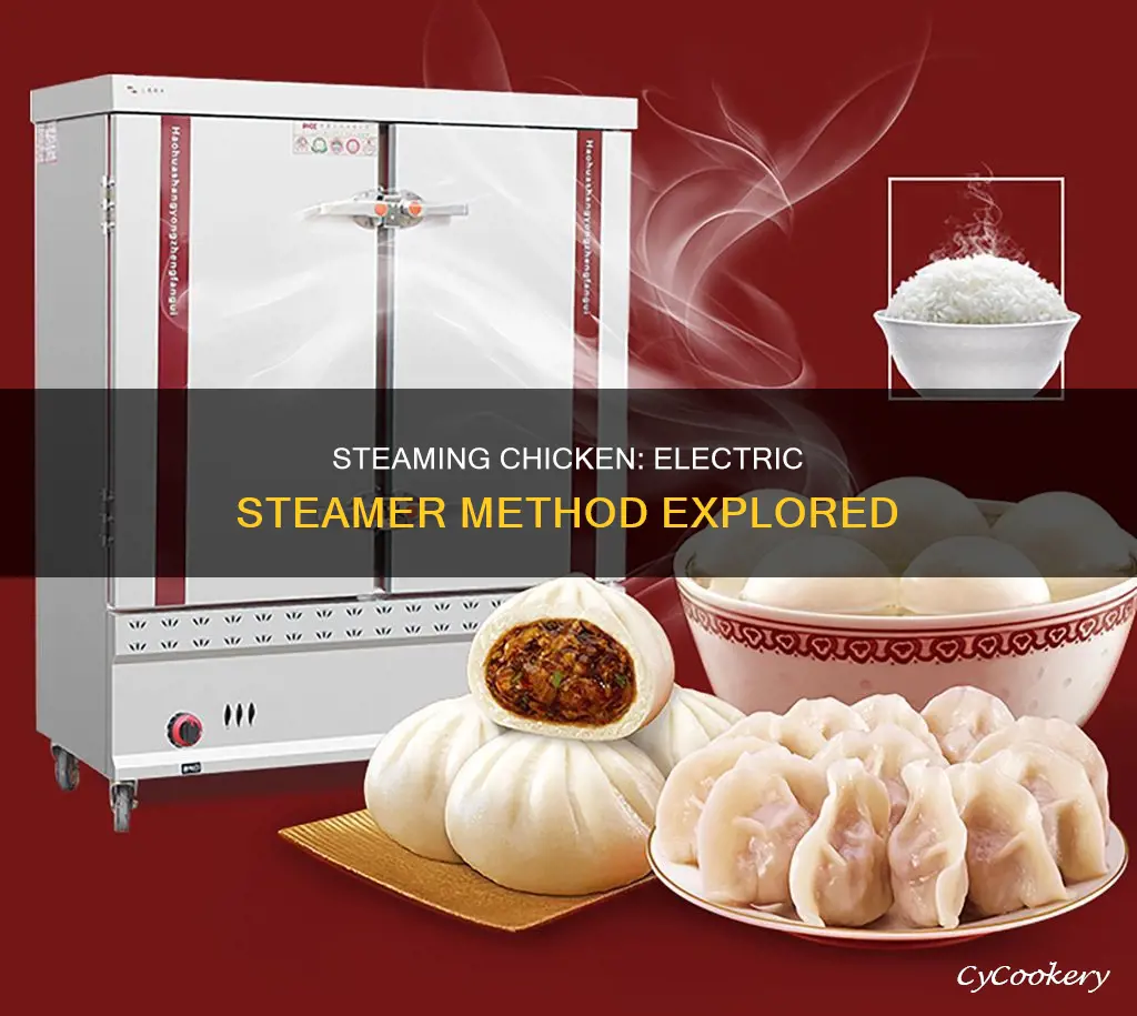 can you cook chicken in an electric steamer