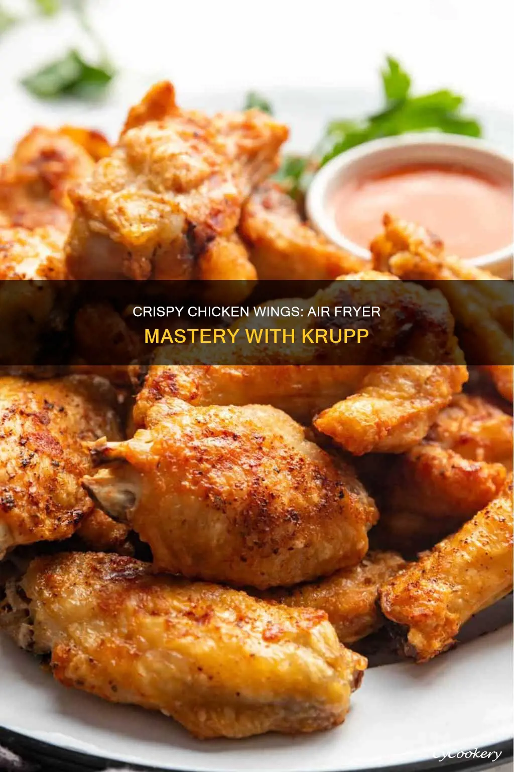 can you cook chicken wings in a krupp air fryer