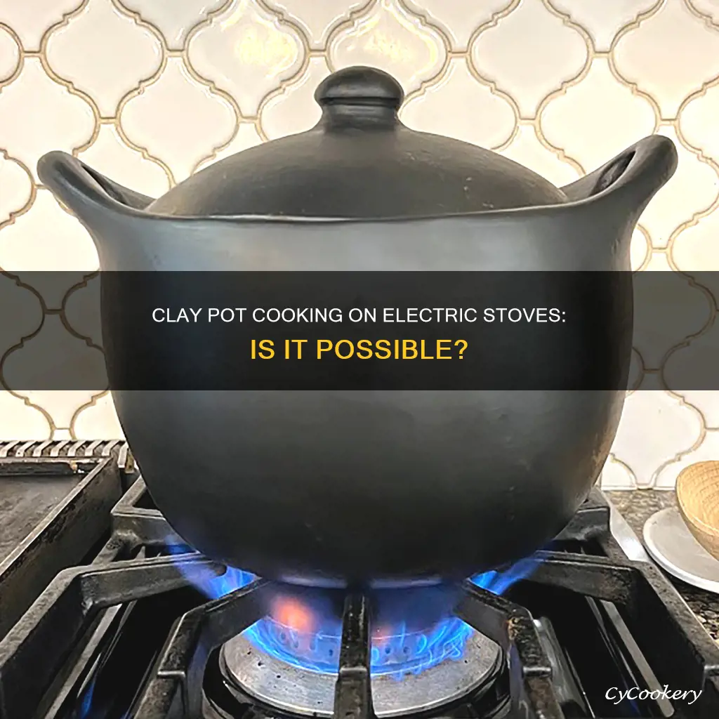 can you cook clay pot on electric stove