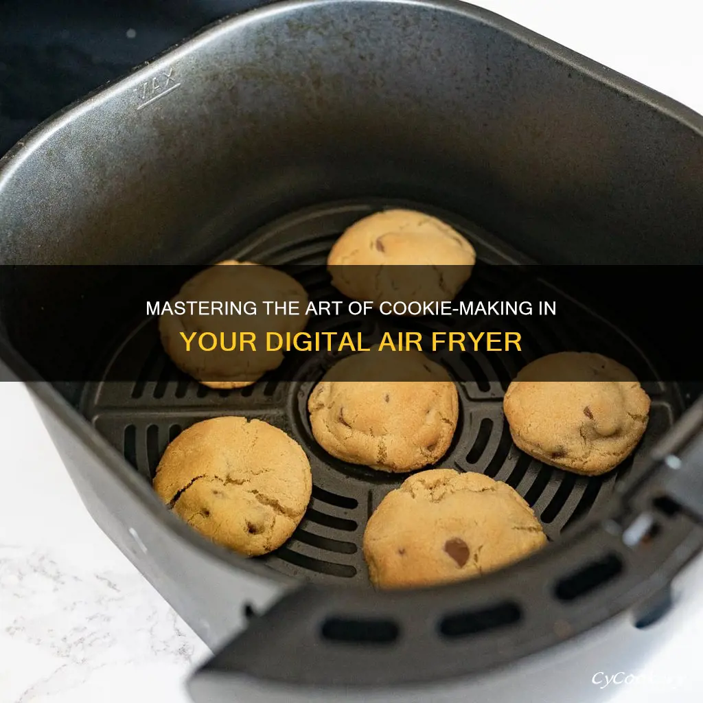 can you cook cookies in a toastmaster digital air fryer