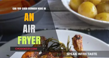 Air Fryer Cornish Hens: Quick and Tasty Cooking Made Easy