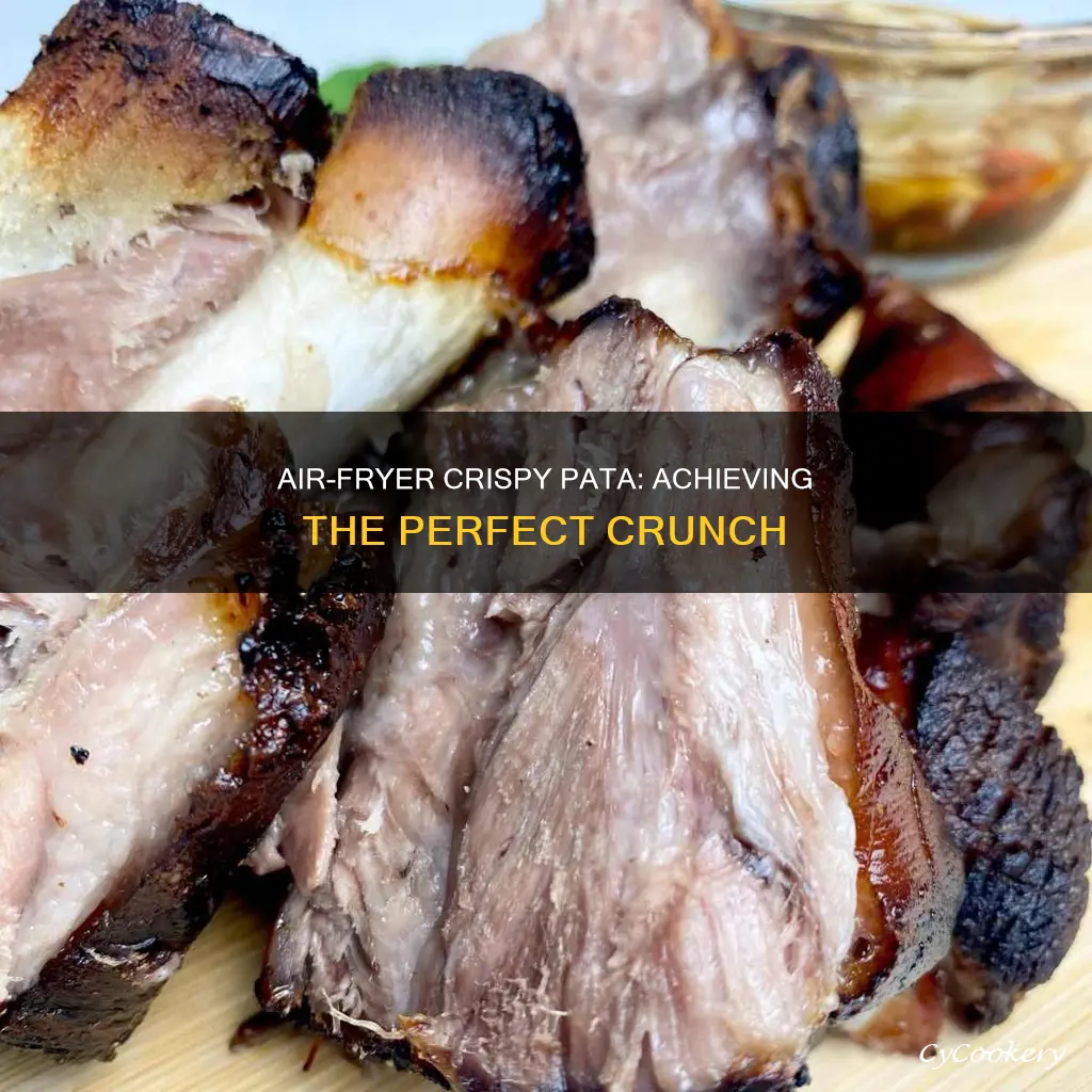 can you cook crispy pata in air fryer