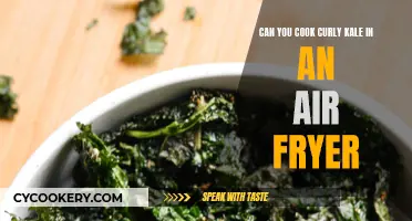 Crispy Kale Chips: Air Fryer Magic