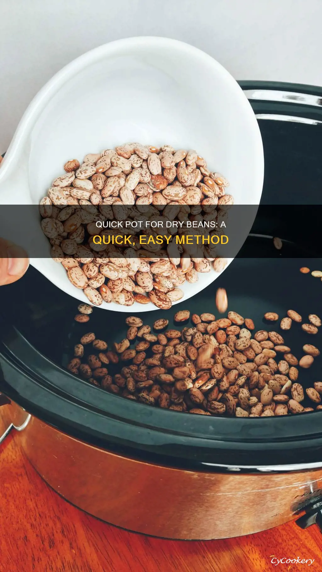 can you cook dry beans in the quick pot