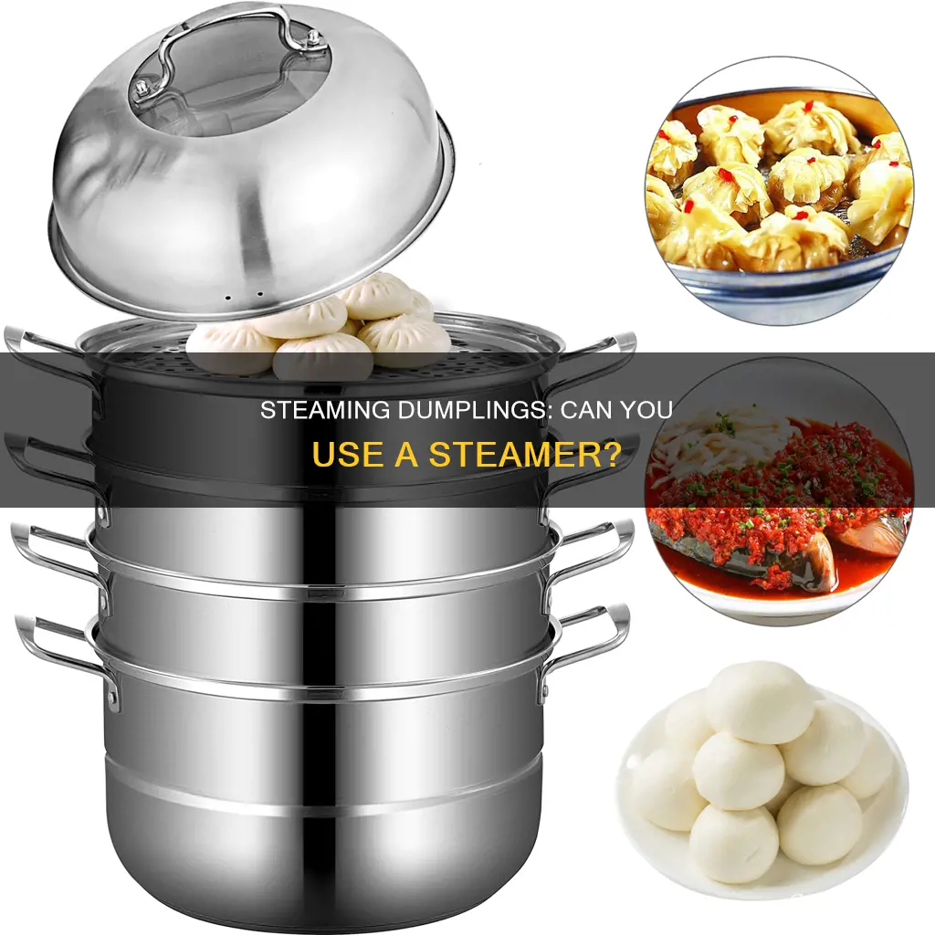 can you cook dumplings in a steamer