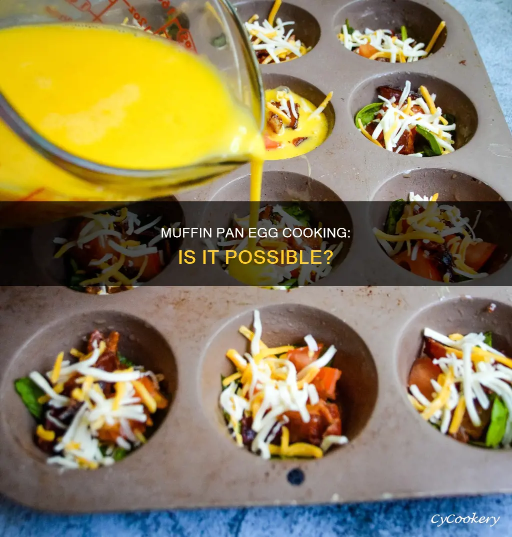 can you cook eggs in a muffin pan