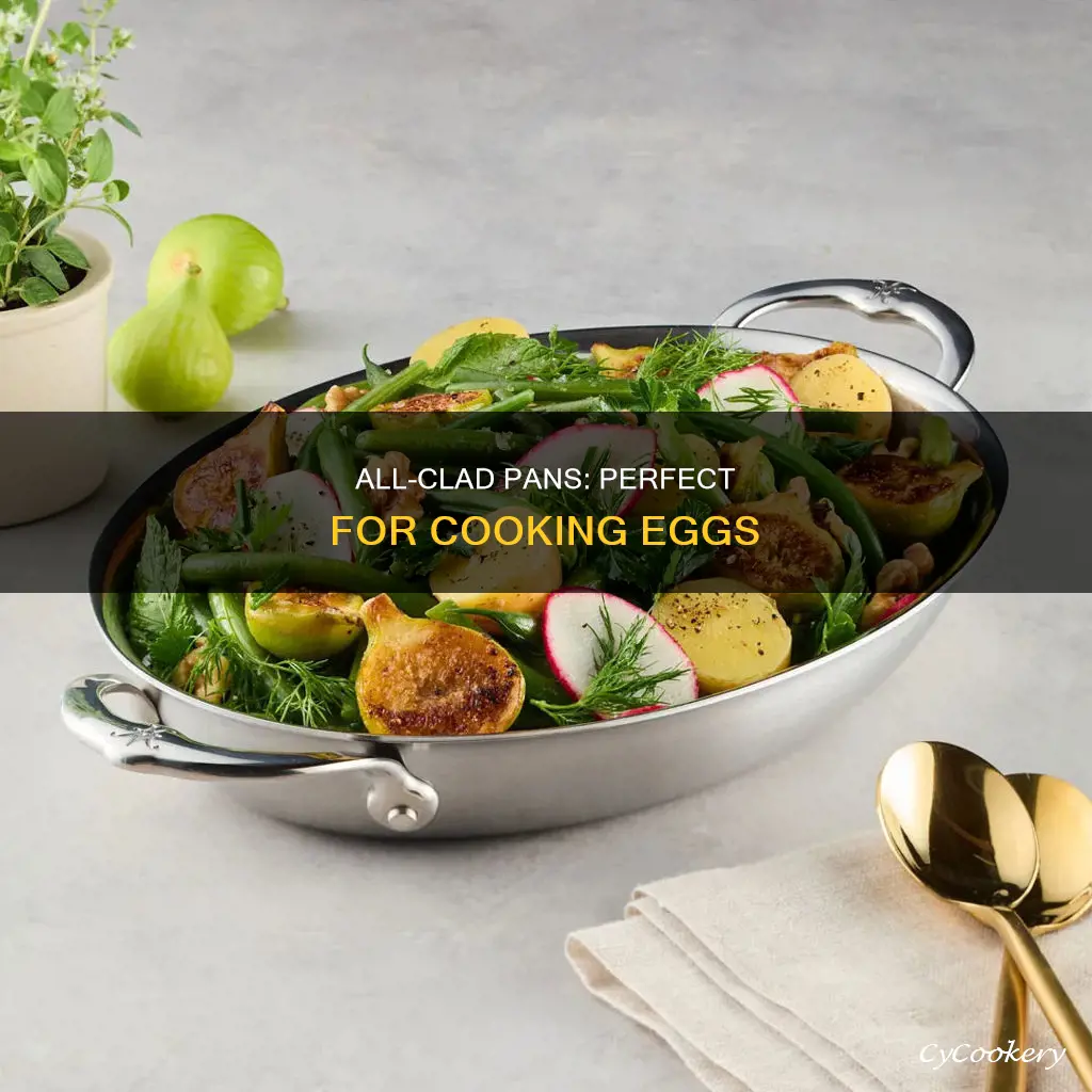 can you cook eggs in allclad pans