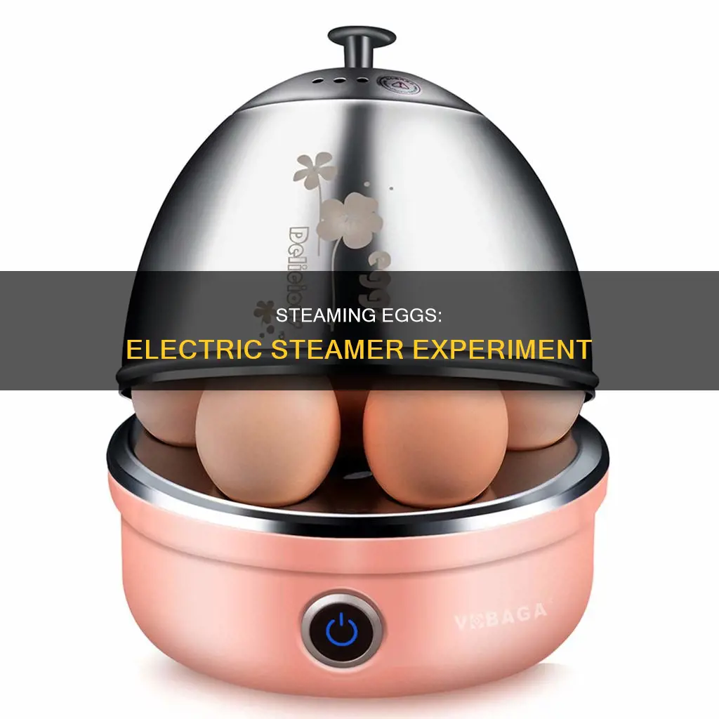 can you cook eggs in an electric steamer