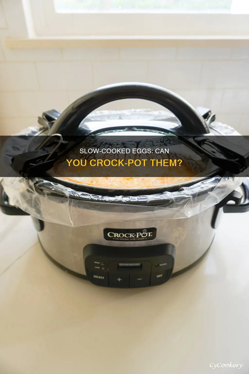 can you cook eggs ina croc pot