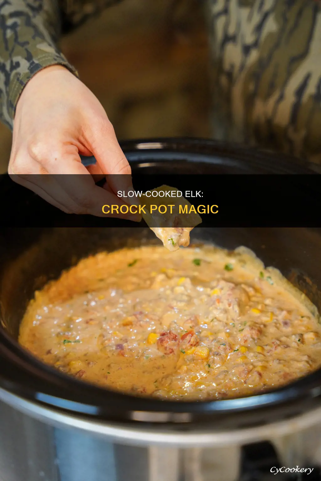 can you cook elk in a crock pot