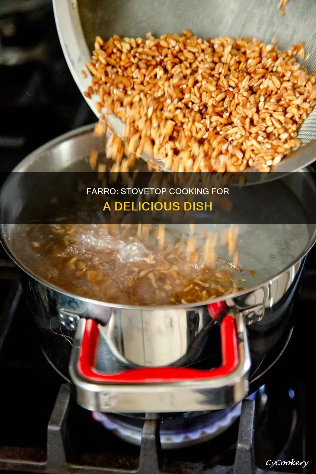 can you cook farro in a pot