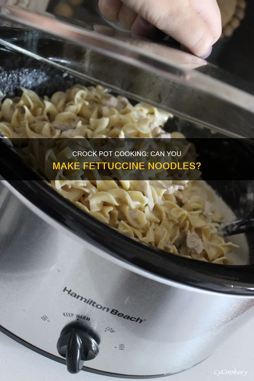 can you cook fettuccine noodles in a crock pot