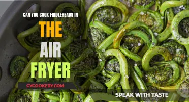 Fiddleheads to the Air Fryer: A Tasty Adventure