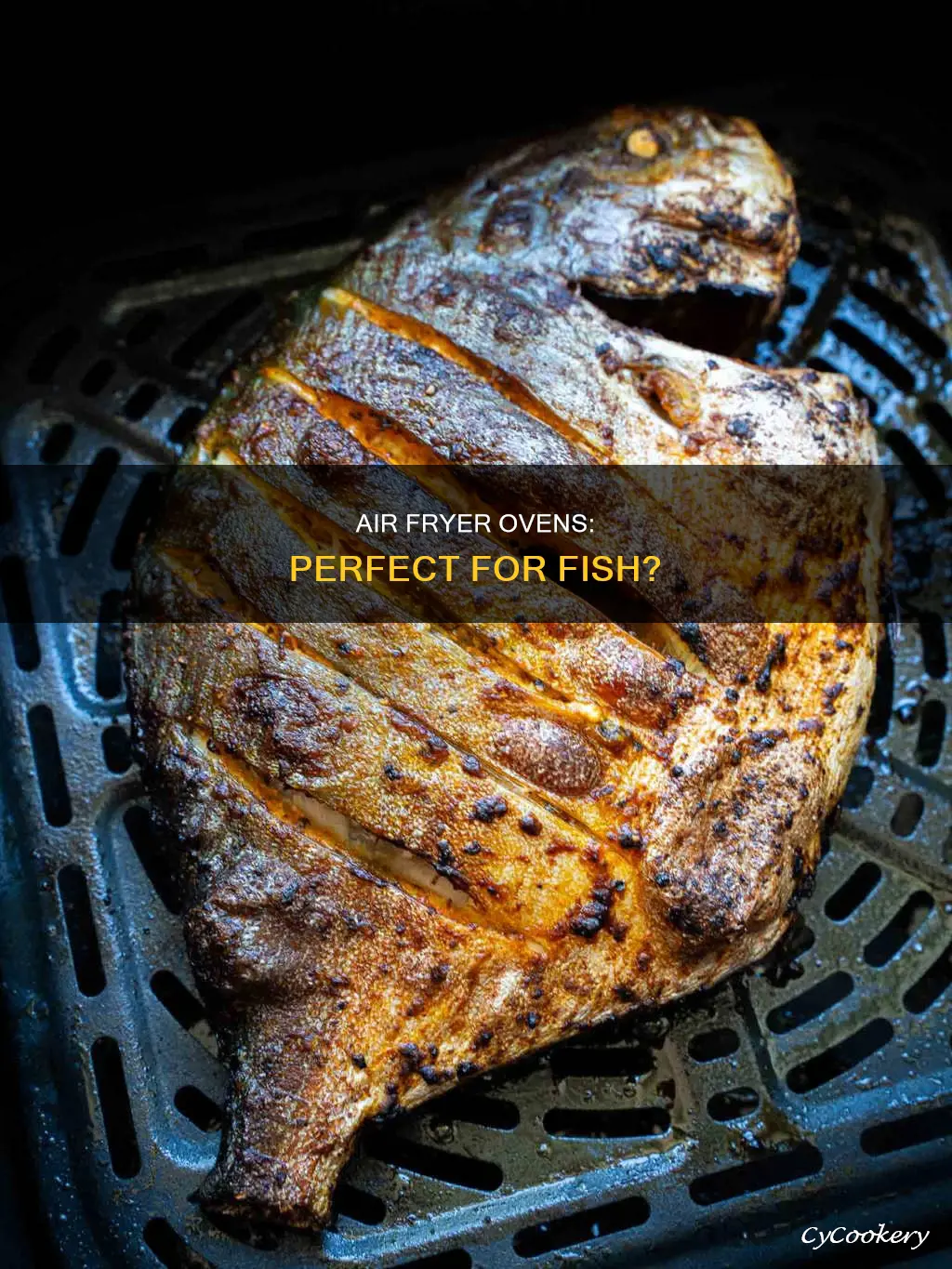 can you cook fish in an air fryer oven