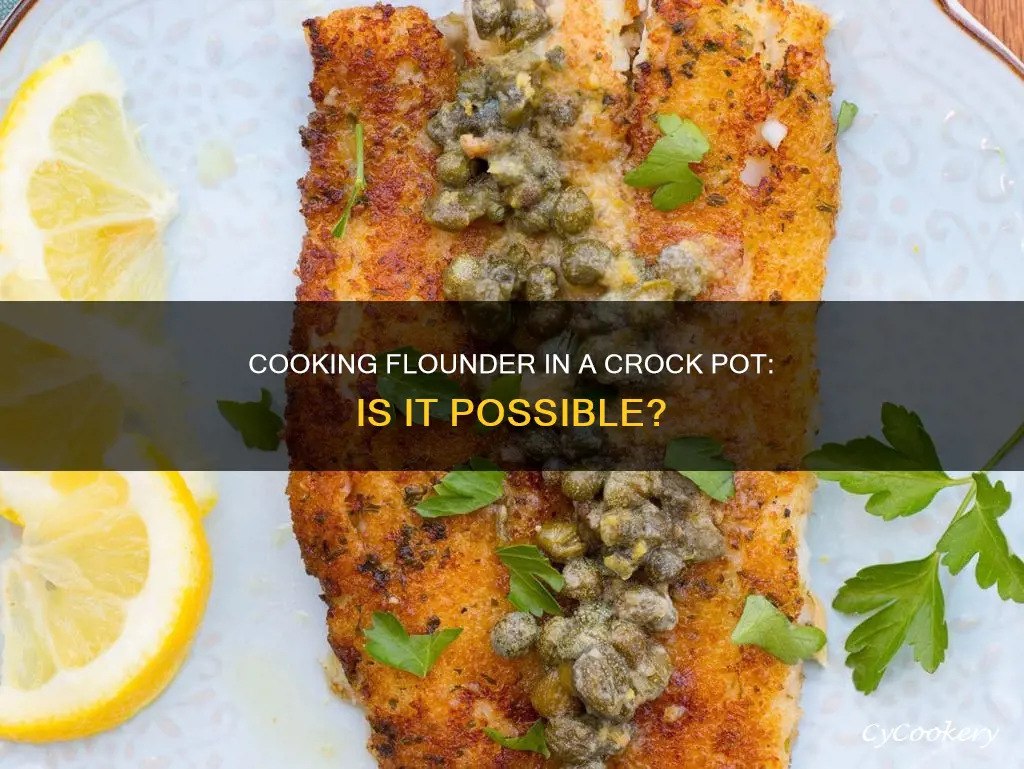 can you cook flounder in a crock pot