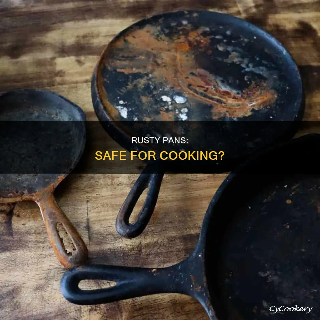 can you cook food in a rusty pan