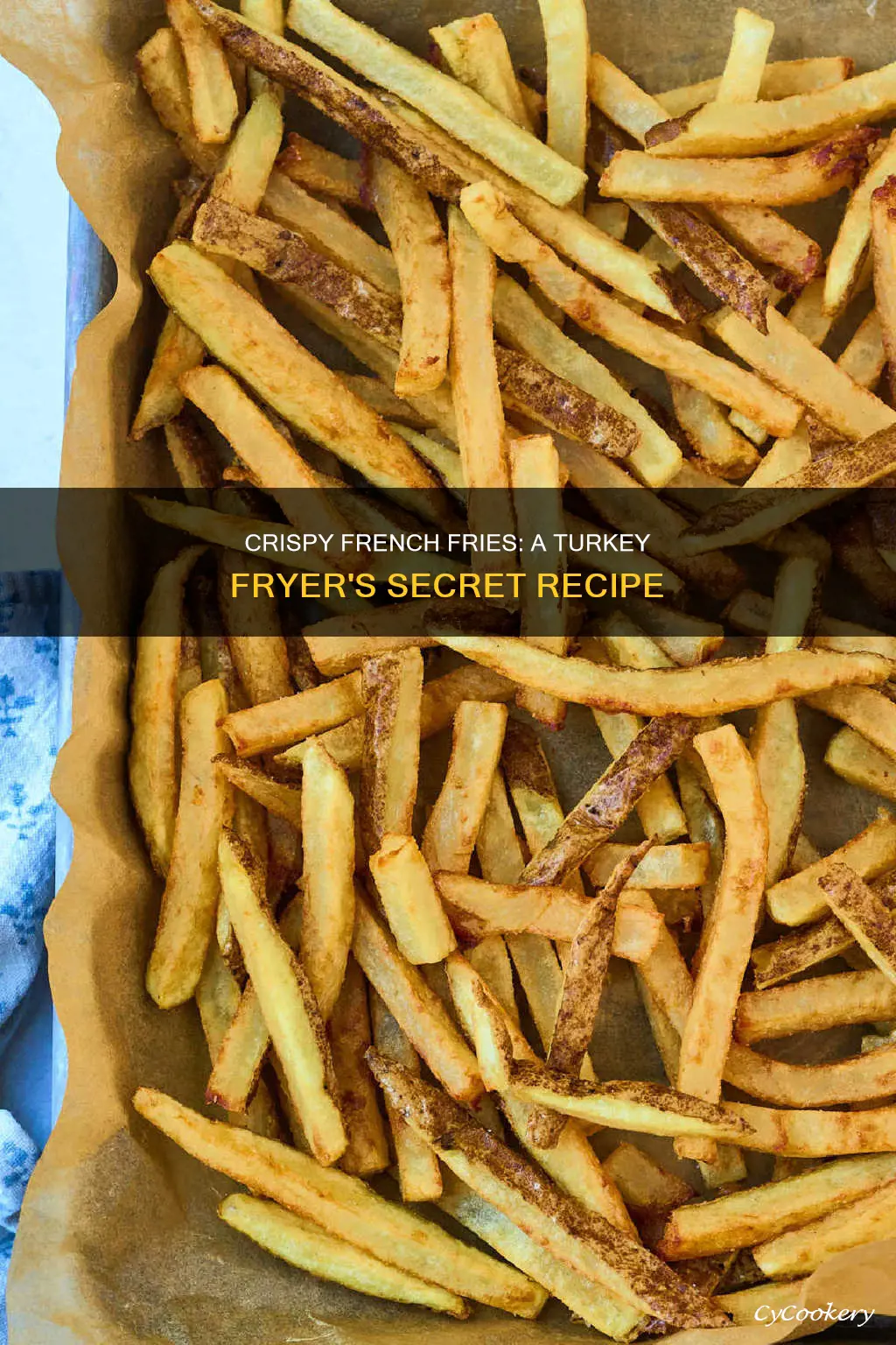 can you cook french fries in a turkey fryer